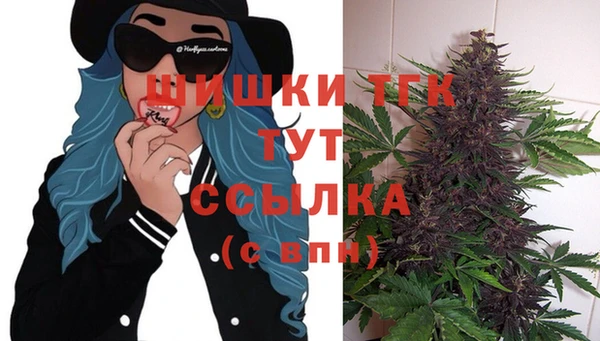дмт Алзамай