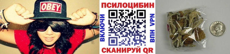 Галлюциногенные грибы прущие грибы  купить   Кондопога 