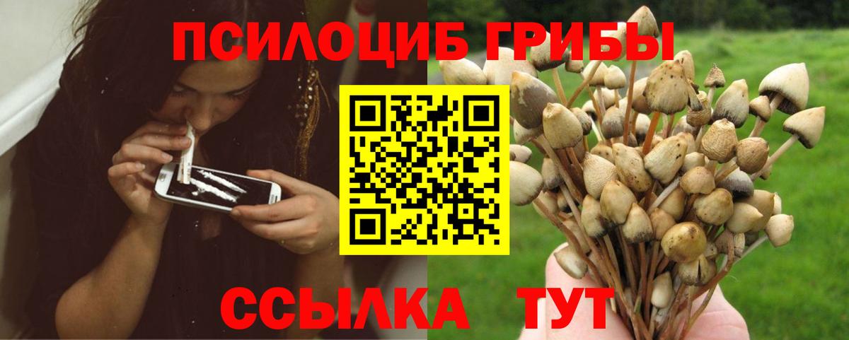 Кондопога  Псилоцибиновые грибы мухоморы  Вход с VPN  Псилоцибиновые грибы Cubensis 