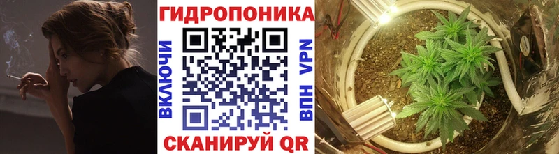 Канабис Amnesia  Кондопога 